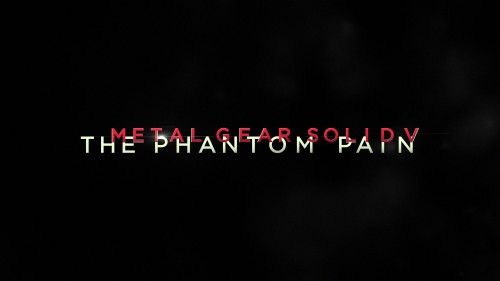 1364418937-mgsv-tpp-logo