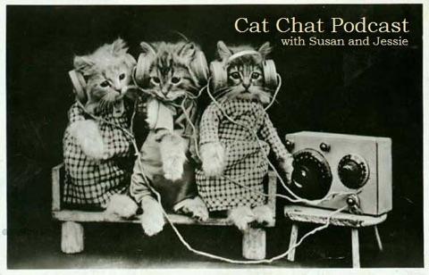 Cat Chat Episode 1